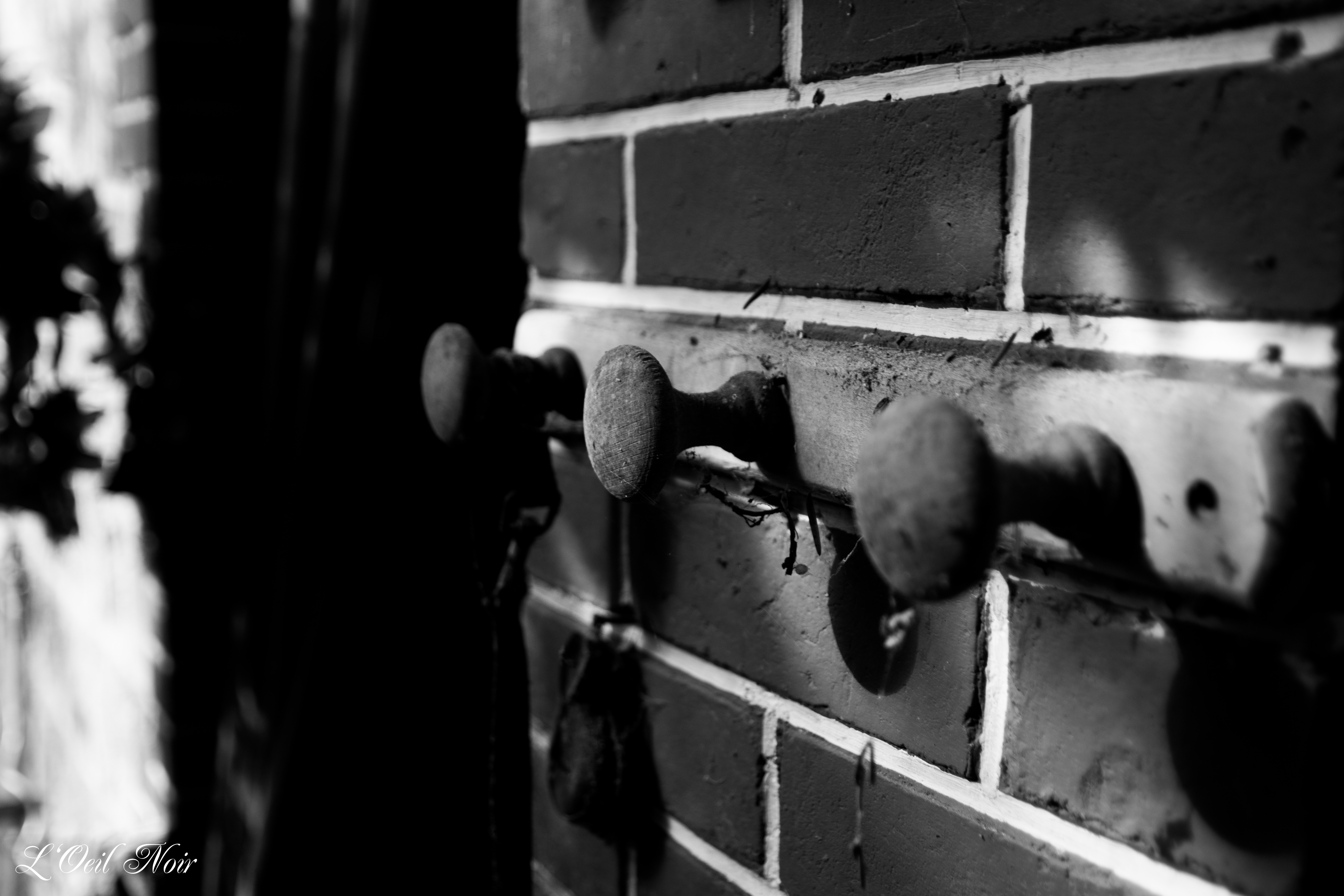 L' Oeil Noir Photographie